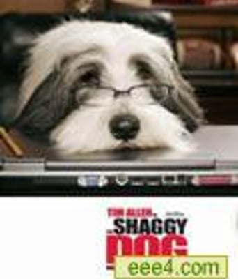 《长毛狗》The Shaggy 