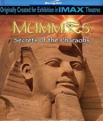 木乃伊法老之谜