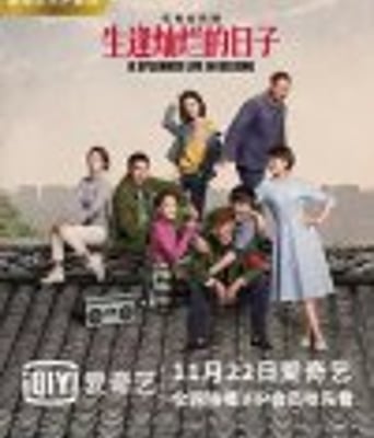 生逢灿烂的日子