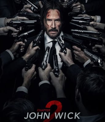 <b><font color='#FF0000'>疾速追杀2</font></b>