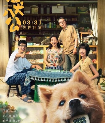 <b><font color='#FF0000'>忠犬八公</font></b>