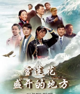 <b><font color='#FF0000'>雪莲花盛开的地方</font></b>