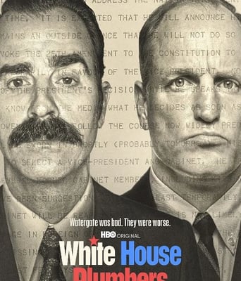 <b><font color='#FF0000'>白宫水管工</font></b>