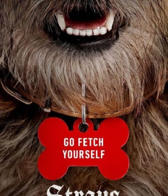 <b><font color='#FF0000'>流浪狗2023</font></b>