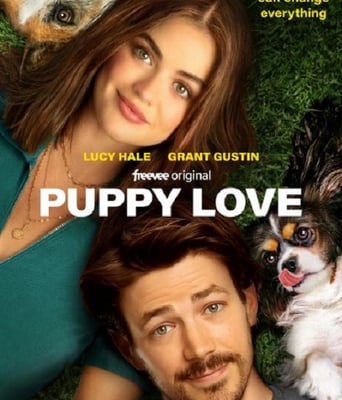 <b><font color='#FF0000'>小狗之爱</font></b>