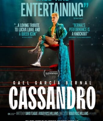 <b><font color='#FF0000'>卡桑德罗</font></b>