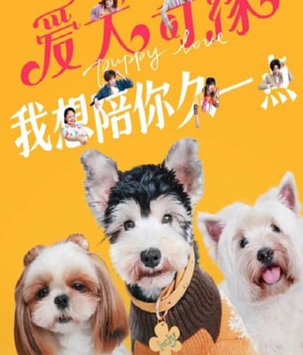 <b><font color='#FF0000'>爱犬奇缘</font></b>