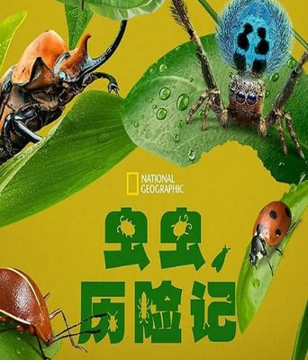 <b><font color='#FF0000'>虫虫历险记</font></b>