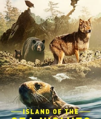 <b><font color='#FF0000'>海狼之岛</font></b>