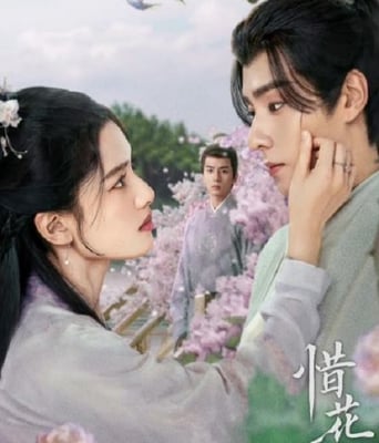 <b><font color='#FF0000'>惜花芷</font></b>