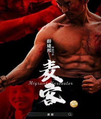 <b><font color='#FF0000'>麦客</font></b>