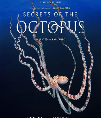 <b><font color='#FF0000'>章鱼的秘密</font></b>