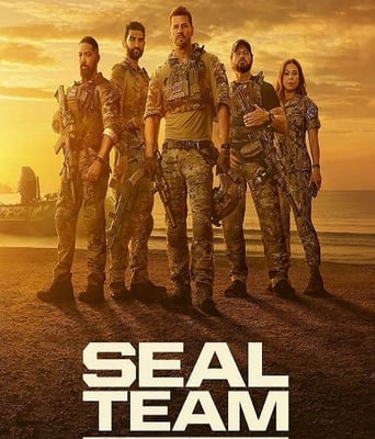 <b><font color='#FF0000'>海豹突击队 第七季</font></b>