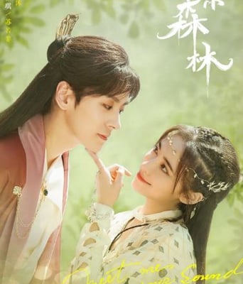 <b><font color='#FF0000'>幻乐森林</font></b>