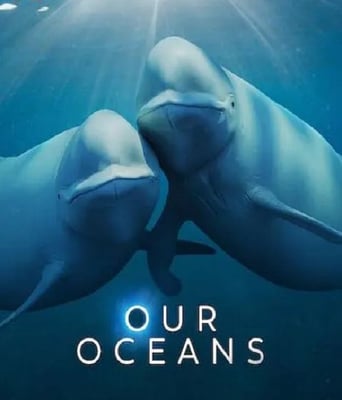 <b><font color='#FF0000'>我们的海洋</font></b>