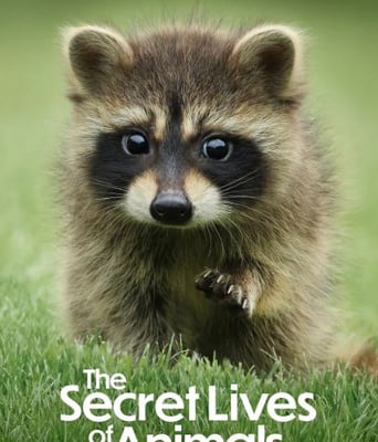 <b><font color='#FF0000'>动物的秘密生活</font></b>