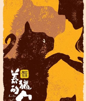 <b><font color='#FF0000'>养猫的人</font></b>