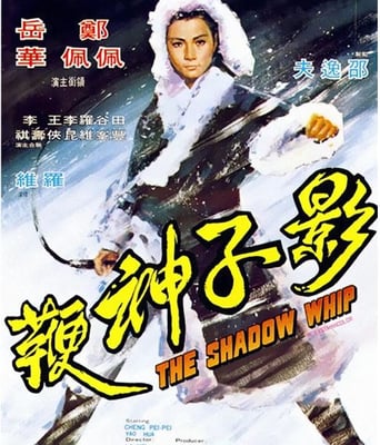 <b><font color='#FF0000'>影子神鞭</font></b>