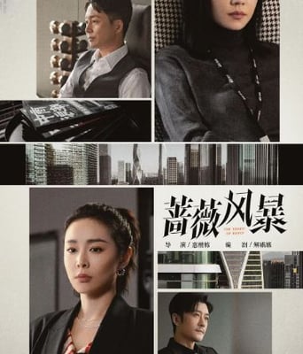 <b><font color='#FF0000'>蔷薇风暴</font></b>