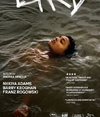 <b><font color='#FF0000'>鸟</font></b>