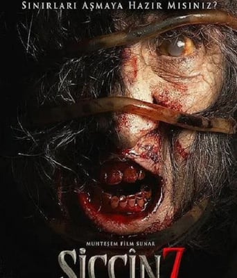 <b><font color='#FF0000'>西辛7</font></b>