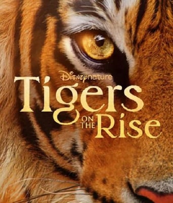 <b><font color='#FF0000'>老虎崛起</font></b>