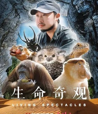 <b><font color='#FF0000'>生命奇观</font></b>