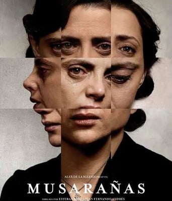 <b><font color='#FF0000'>鼩鼱的巢穴</font></b>