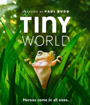 <b><font color='#FF0000'>小小世界 第二季</font></b>