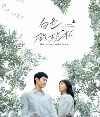 <b><font color='#FF0000'>白色橄榄树</font></b>
