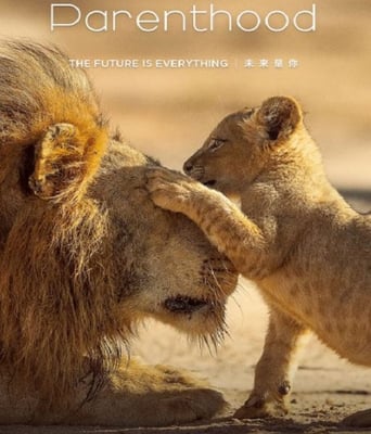 <b><font color='#FF0000'>宝贝星球 中配版</font></b>