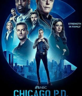 <b><font color='#FF0000'>芝加哥警署 第十季</font></b>