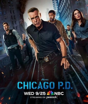 <b><font color='#FF0000'>芝加哥警署 第十二季</font></b>