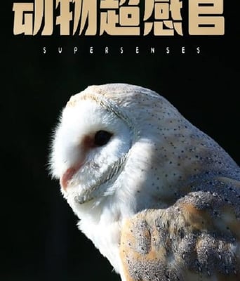 <b><font color='#FF0000'>动物超感官</font></b>