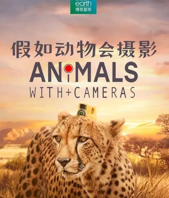 <b><font color='#FF0000'>假如动物会摄影</font></b>