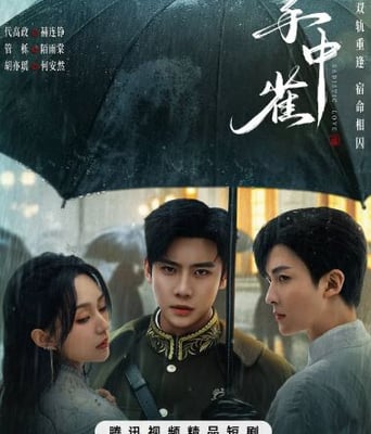 <b><font color='#FF0000'>掌中雀</font></b>