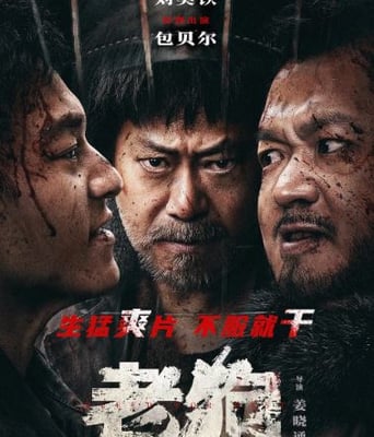 <b><font color='#FF0000'>老狗</font></b>