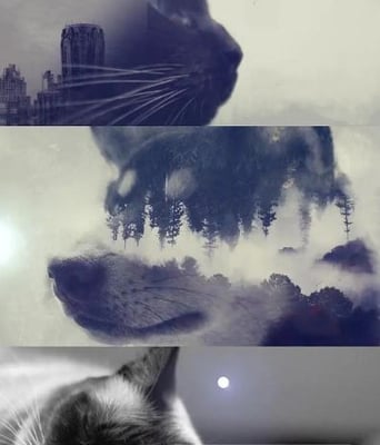 <b><font color='#FF0000'>今生，请多指教 第二</font></b>