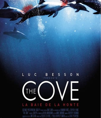 <b><font color='#FF0000'>海豚湾</font></b>