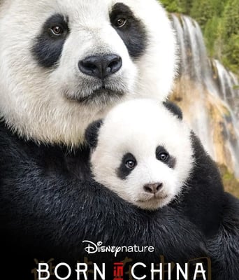 <b><font color='#FF0000'>我们诞生在中国</font></b>