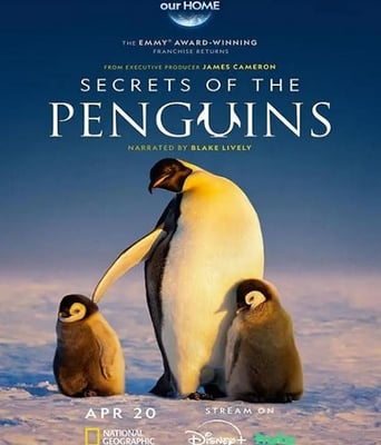 <b><font color='#FF0000'>企鹅之谜</font></b>