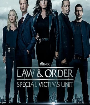 <b><font color='#FF0000'>法律与秩序：特殊受害</font></b>