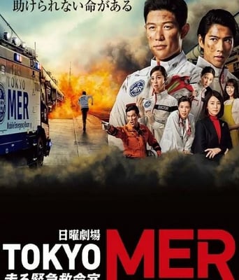 <b><font color='#FF0000'>TOKYO MER～移动的急救室</font></b>