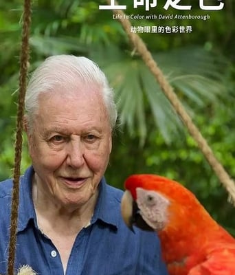 <b><font color='#FF0000'>生命之色</font></b>