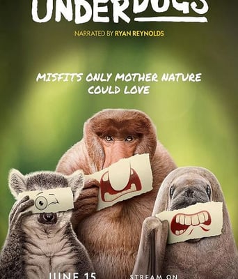 <b><font color='#FF0000'>废柴英雄</font></b>