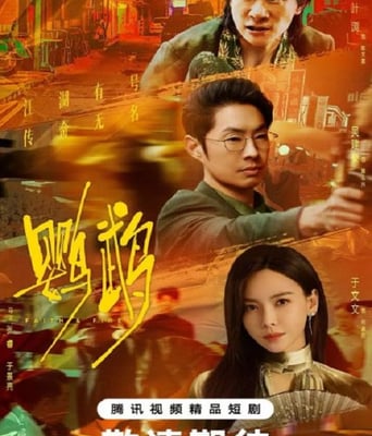 <b><font color='#FF0000'>鹦鹉</font></b>