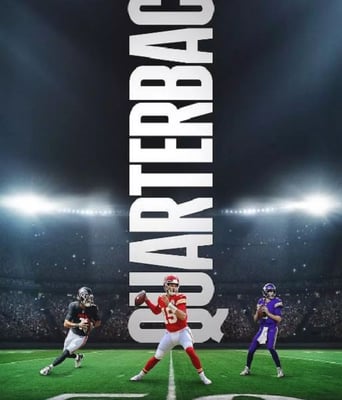 <b><font color='#FF0000'>四分卫 第一季</font></b>