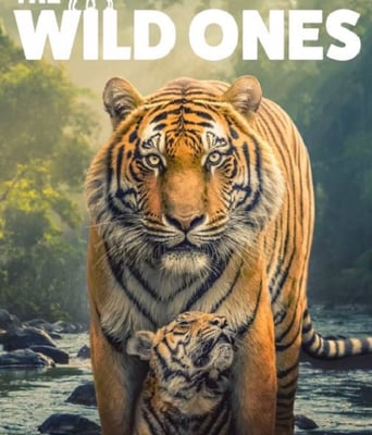 <b><font color='#FF0000'>野性生灵</font></b>