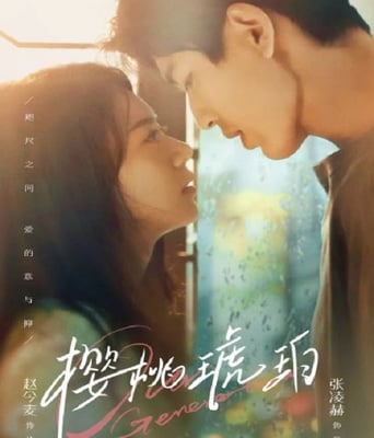 <b><font color='#FF0000'>樱桃琥珀</font></b>