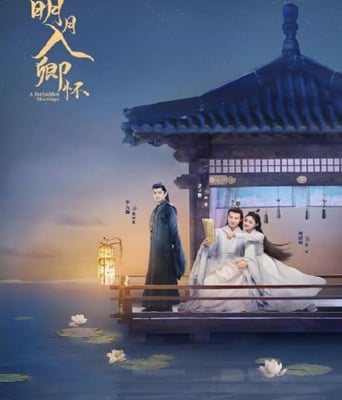 <b><font color='#FF0000'>明月入卿怀</font></b>